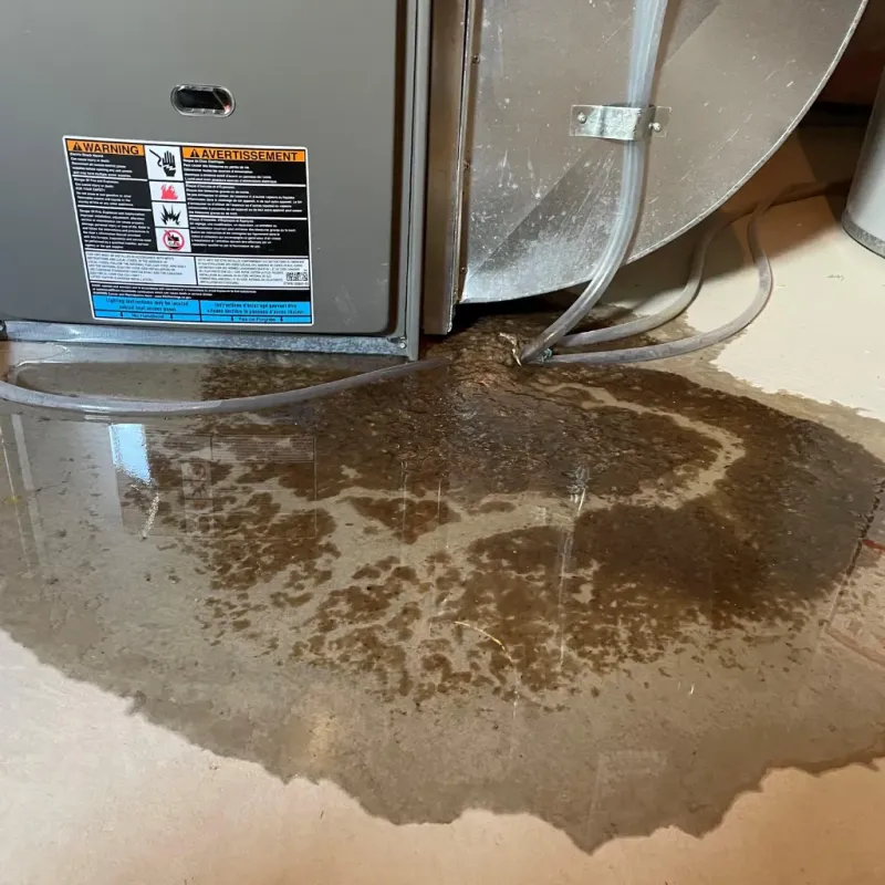 Appliance Leak Cleanup in Rochester, PA