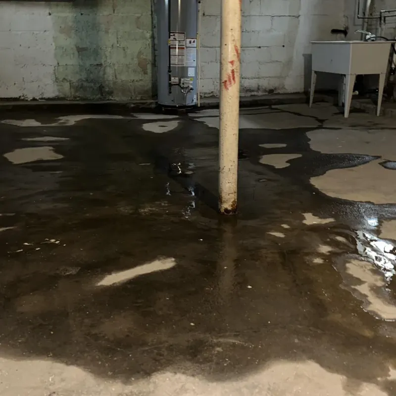 Emergency Water Extraction And Removal in Rochester, PA